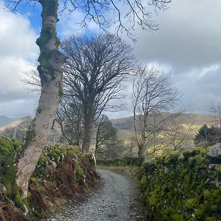 Ivy Bank